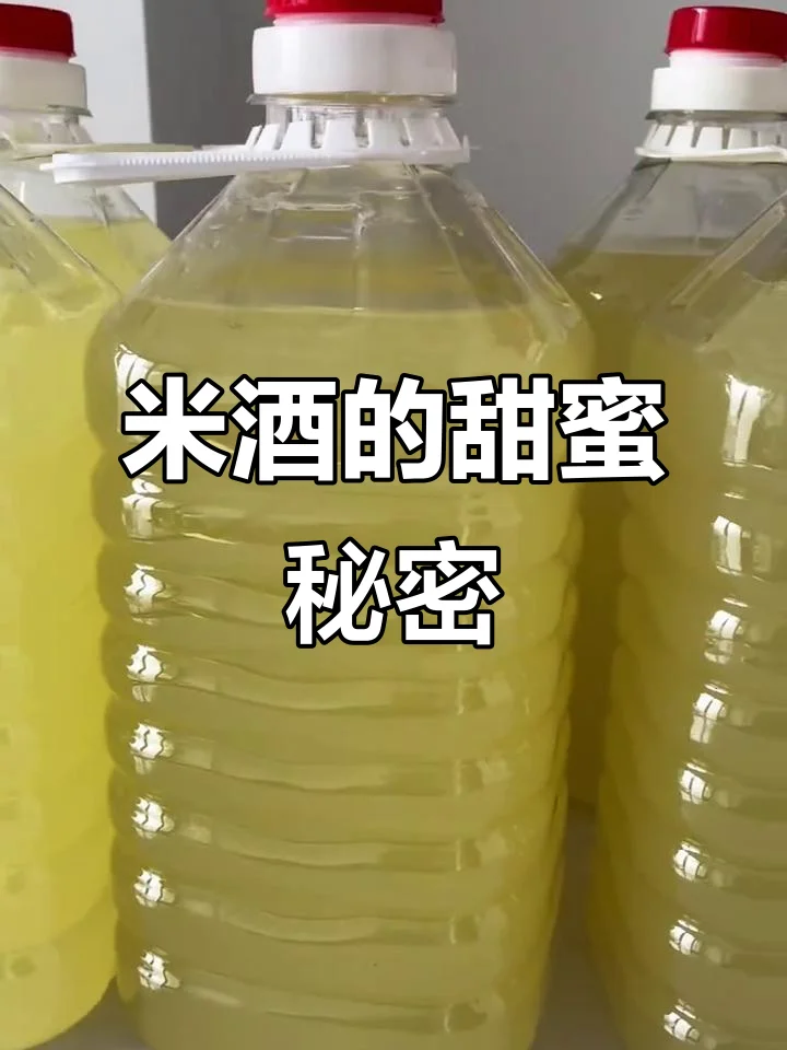 米酒发酵过程特写：透明玻璃罐中米粒正在发酵，旁边温度计显示30℃，背景有酒曲和稻穗。_1