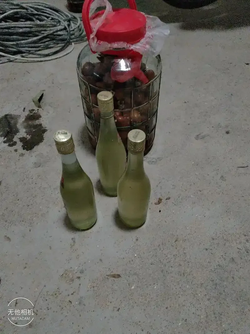 家庭自制猕猴桃酒发酵过程特写：透明玻璃罐内充满猕猴桃果肉和发酵气泡_1