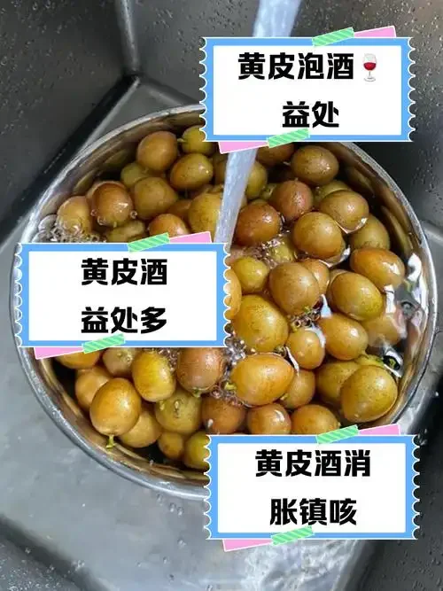 家庭自制黄皮果泡酒过程展示，玻璃罐中黄皮果与米酒正在浸泡_1