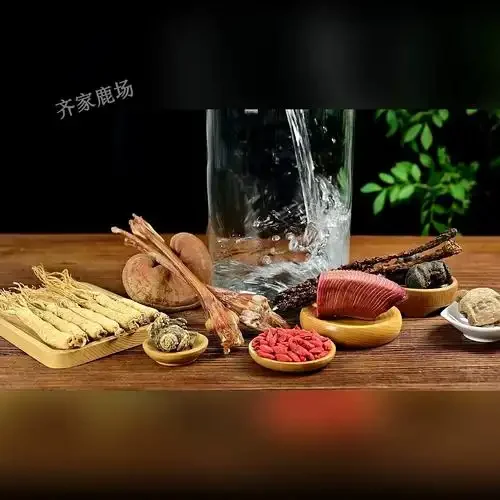 鹿茸与多种中药材在玻璃罐中浸泡的泡酒实物展示图_1
