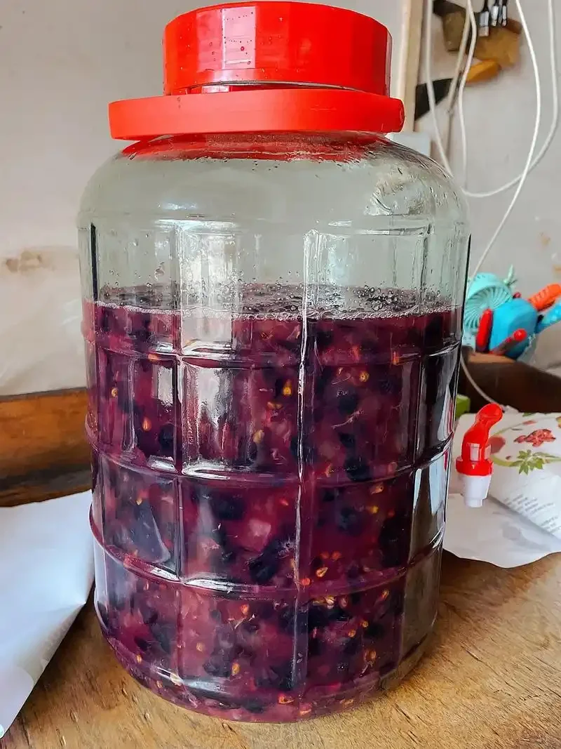 家庭自酿葡萄酒所需材料展示：新鲜葡萄、玻璃罐、比重计、酵母和糖_1