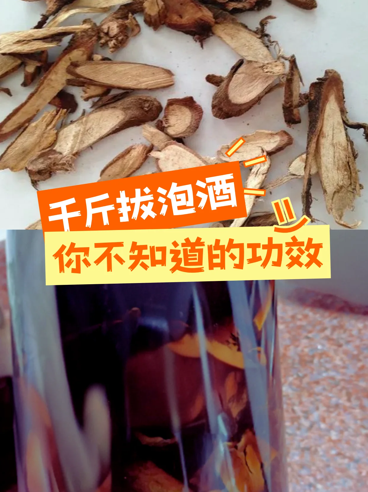 酿酒师在南楼山酿酒坊查看泡制药酒，玻璃坛中可见多种用于风湿泡酒的药材_1