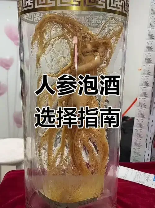 透明玻璃酒坛中浸泡着完整人参和枸杞的琥珀色人参酒，旁边散落着原材料，展现家庭泡制过程。_1