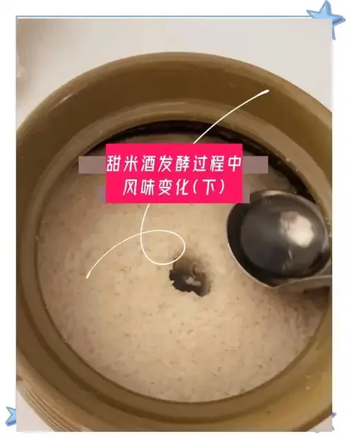陶瓷罐中正在发酵的米酒特写，可见米粒表面蓬松起泡，底部有清亮酒液析出，旁边放着一把未使用的木勺。_1