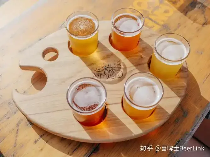 酿酒师在家庭酿酒角检查精酿啤酒发酵进程的温馨场景，展示小型酿酒设备和成品啤酒_1