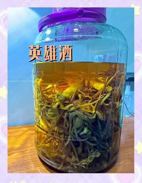 家庭泡制补肾强肾药酒材料展示：透明玻璃罐中浸泡着枸杞、肉苁蓉等药材的琥珀色酒液_1