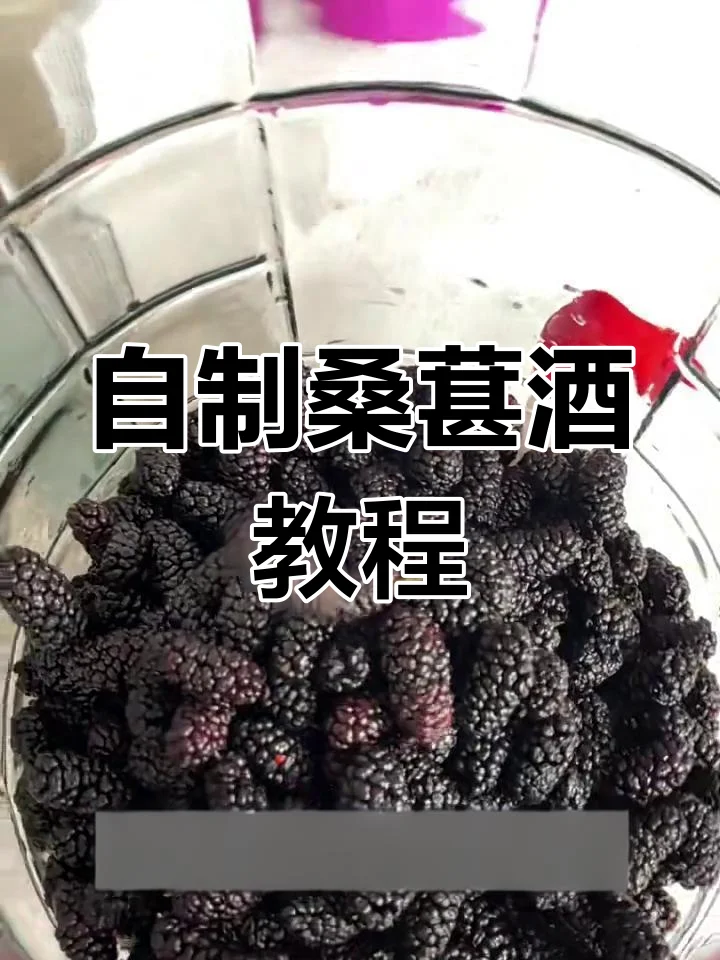 左右对比图：左边是初次浸泡的饱满紫黑桑葚酒，右边是二次浸泡后颜色变浅的桑葚_1