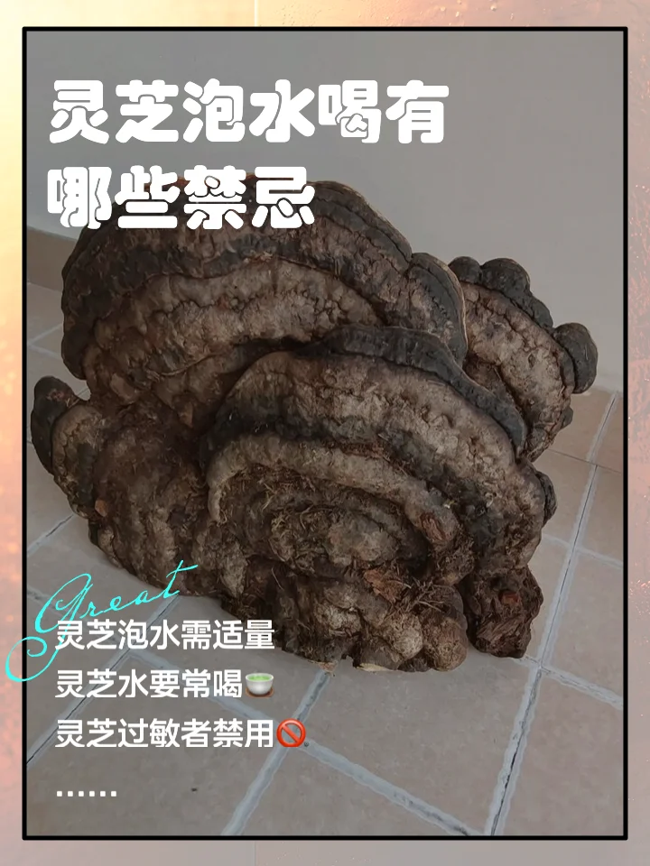 安哥拉树皮切片与灵芝在木质砧板上准备用于泡酒，旁边是玻璃罐和冰糖等辅料。_1