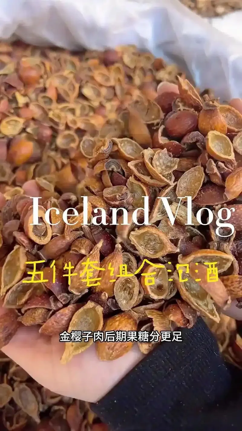 传统陶瓷酒坛与杜仲皮特写，展示杜仲泡酒的原材料与容器_1