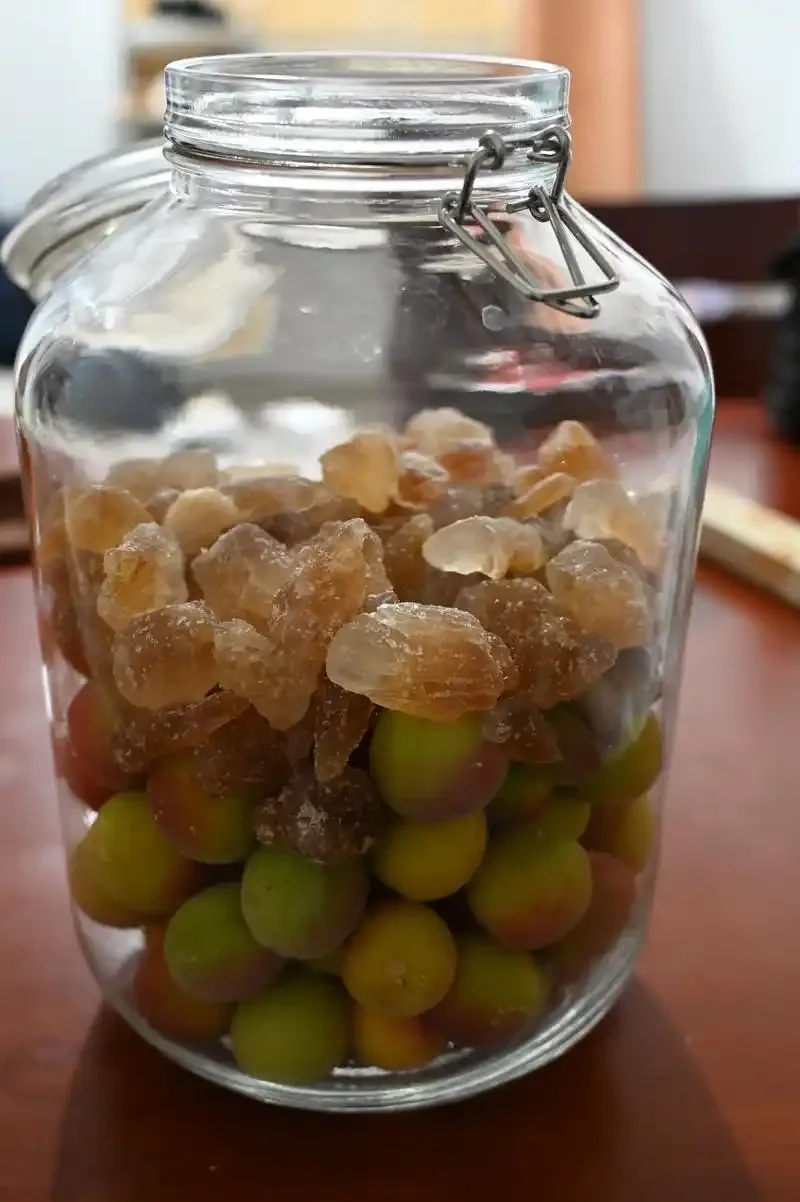 不同成熟度青梅对比图：熟透的青梅与新鲜青梅，用于泡酒挑选参考_1