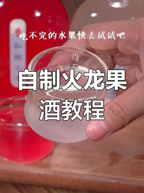 家庭自制果酒泡制过程：透明玻璃罐中浸泡着樱桃和冰糖，旁边散落着新鲜水果和原料，展示果酒制作的初始步骤。_1