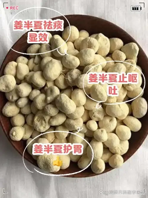 专业展示：制半夏、枸杞与黄冰糖在琥珀色酒液中浸泡的静物摄影_1