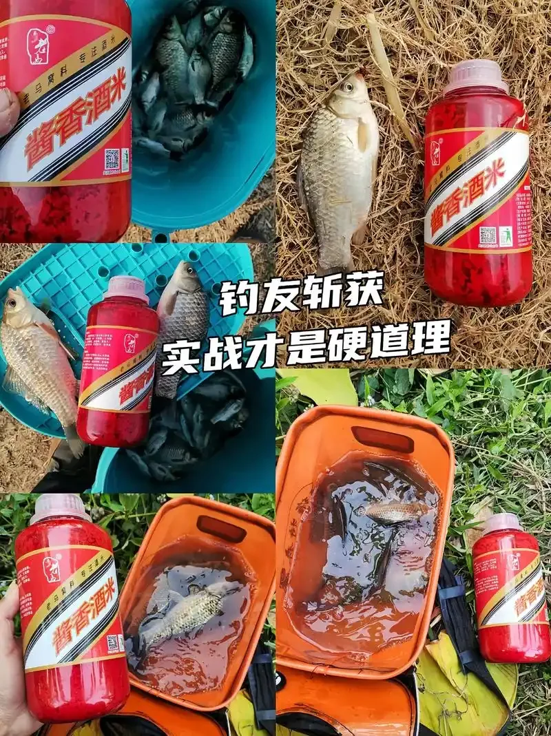 自酿酒米打窝料混合过程特写，展示金黄酒米与红色中药材料的均匀混合。_1
