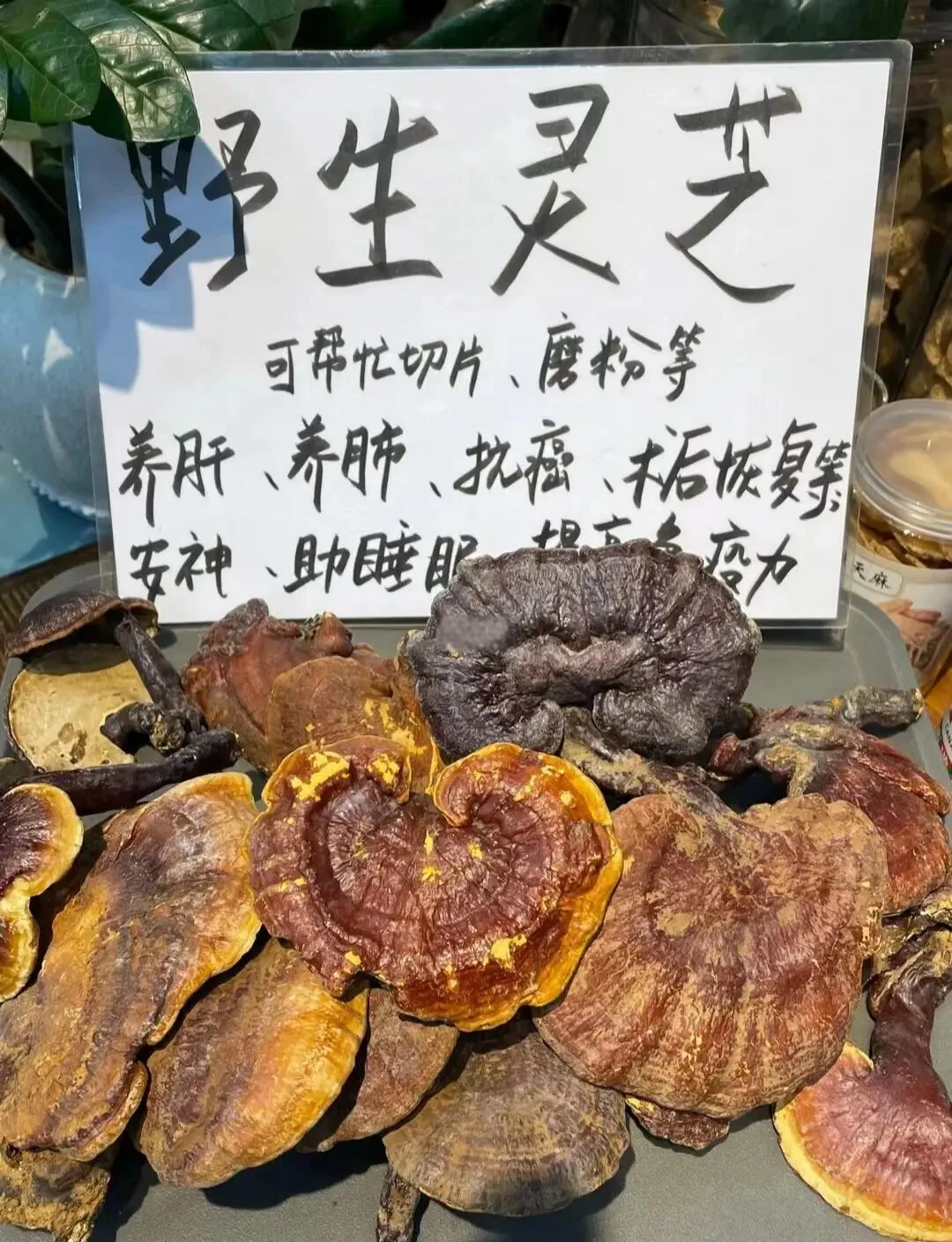 家庭自制灵芝泡酒展示，透明玻璃罐中金黄色的酒液与红褐色灵芝清晰可见_1