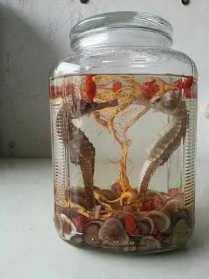 家庭自制雄黄兰泡酒过程展示：透明玻璃罐中金黄色的酒液与鲜红花朵_1