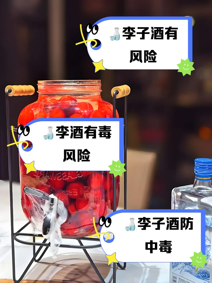 李子泡酒制作过程展示：玻璃罐中浸泡着李子、柠檬片和薄荷，旁边摆放着冰糖和工具_1