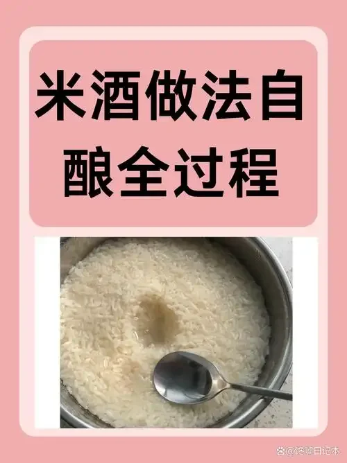 家庭自制米酒发酵过程实拍，展示透明玻璃罐中糯米发酵转化为酒酿的诱人状态。_1