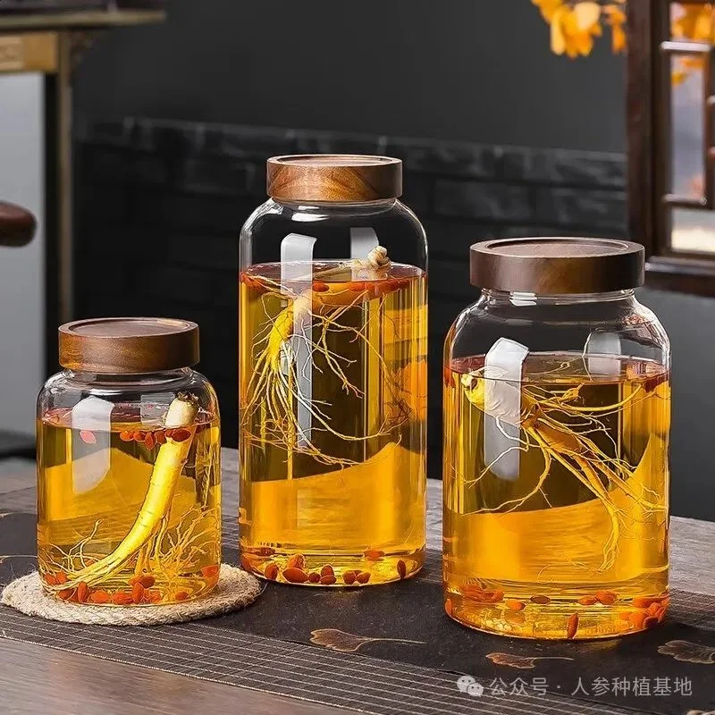 专业酿酒师视角下，透明玻璃罐中人参泡酒的黄金比例展示_1