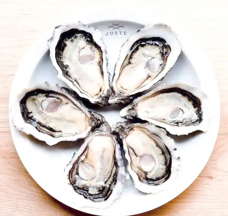 新鲜生蚝与一杯红酒的优雅搭配，展示了经典的美味组合。_1