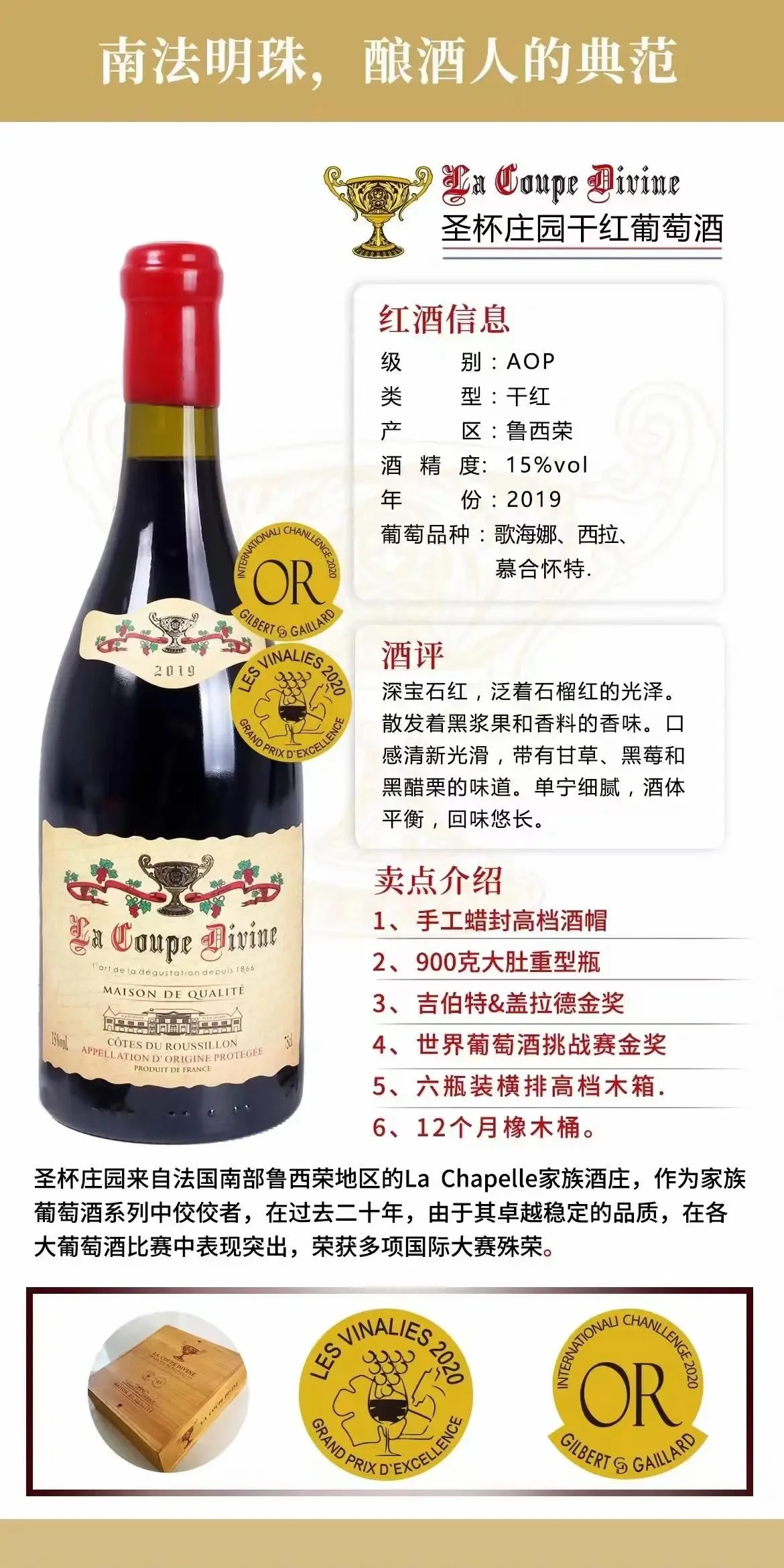 家庭自酿红酒过程特写：玻璃发酵罐、新鲜葡萄与酿酒工具_1