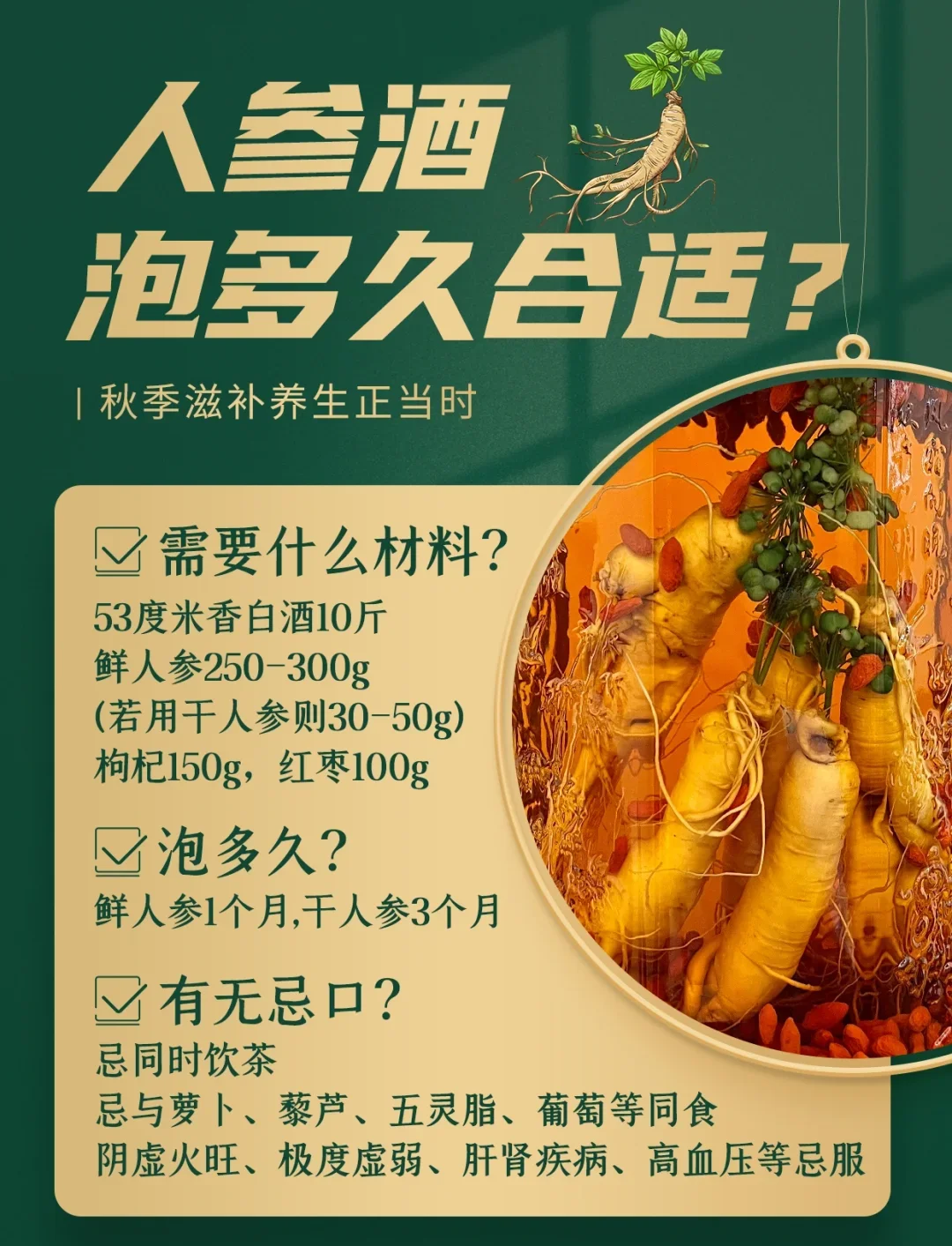 人参红枣枸杞在透明玻璃泡酒罐中浸泡的特写照片，展示了家庭制作养生药酒的常见材料和清澈酒体。_1