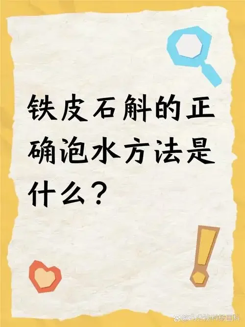 鲜铁皮石斛与干铁皮石斛枫斗在玻璃酒坛中的对比图_1