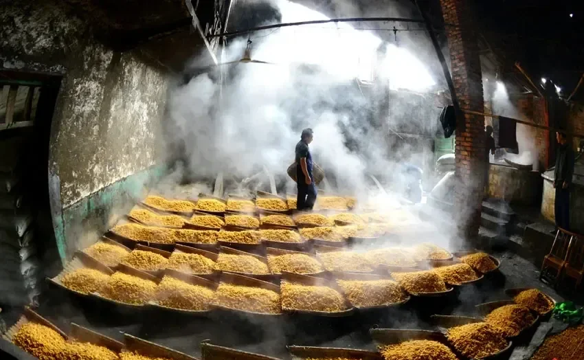 传统酿酒车间内的场景，酿酒师傅正在查看酒缸中的粮食酒醅，背景是成堆的高粱原料。_1