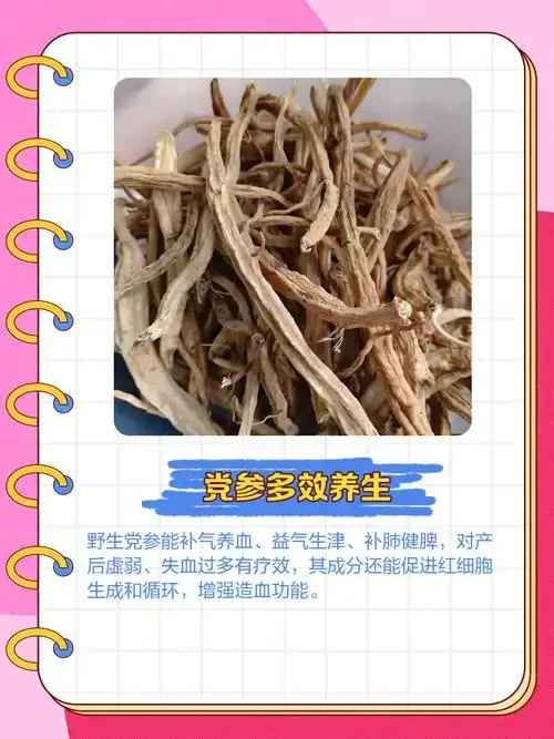 家庭自制党参泡酒成品展示：玻璃罐中琥珀色酒液浸泡着党参、红枣和枸杞。_1