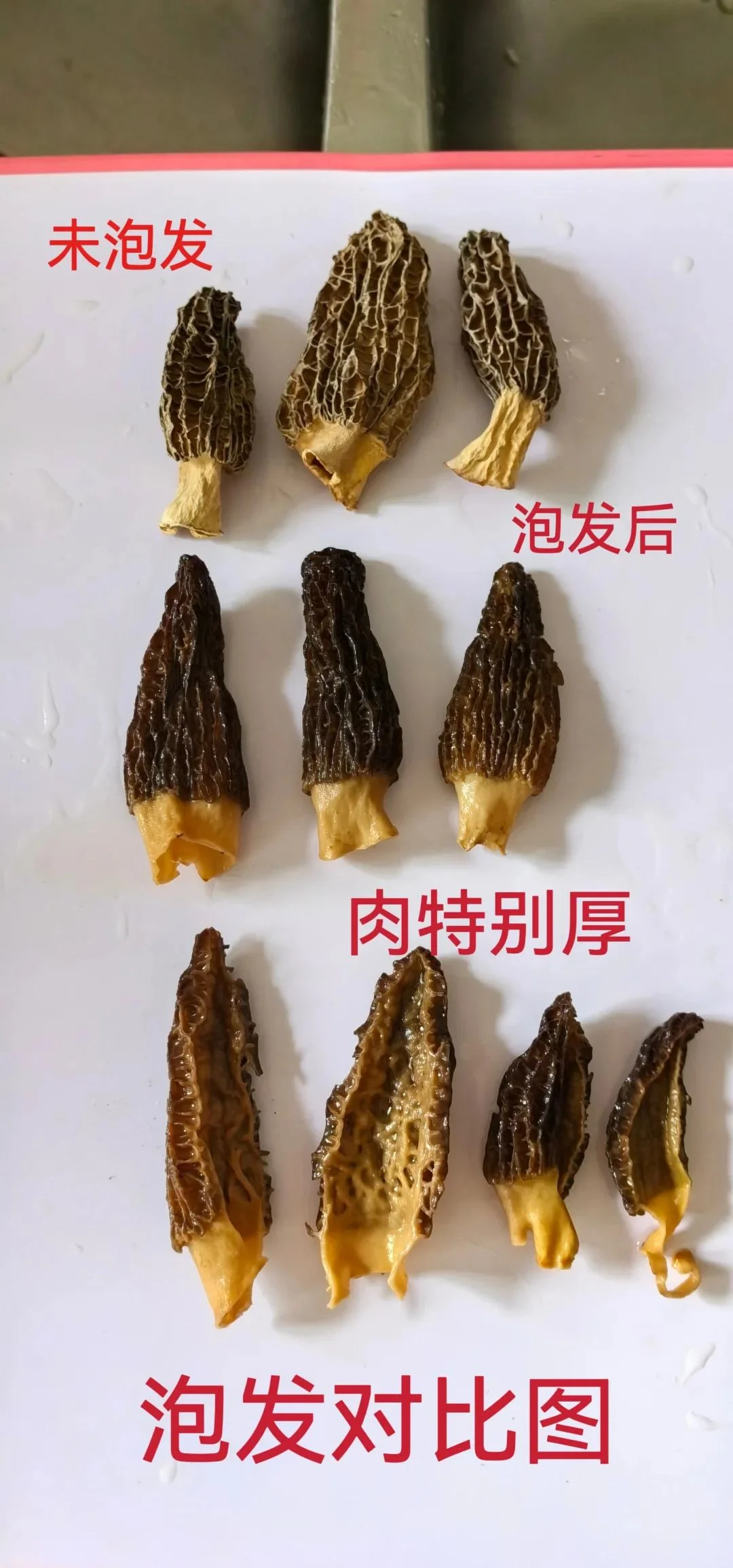 羊肚蘑在透明玻璃罐中浸泡的清晰照片，展示泡酒过程_1