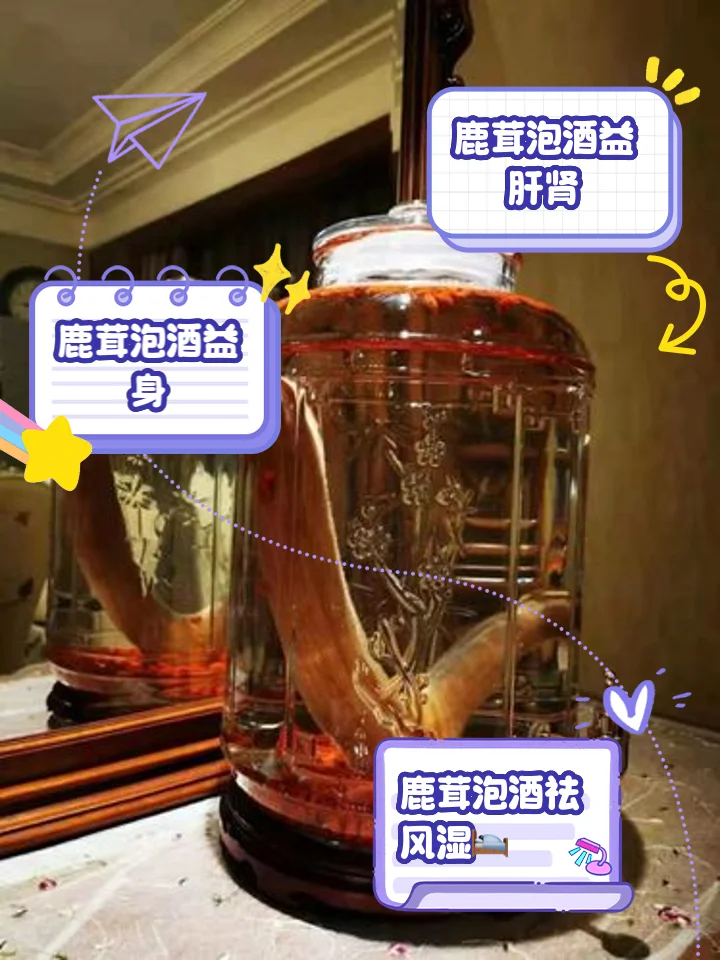 一瓶正在浸泡中的金黄色鹿茸滋补酒特写,鹿茸切片清晰可见,背景温馨专业。_1