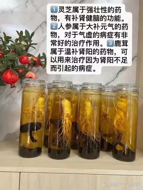 西洋参、鹿茸、人参、枸杞在玻璃罐中浸泡的特写照片，展示滋补药酒的原料与色泽。_1