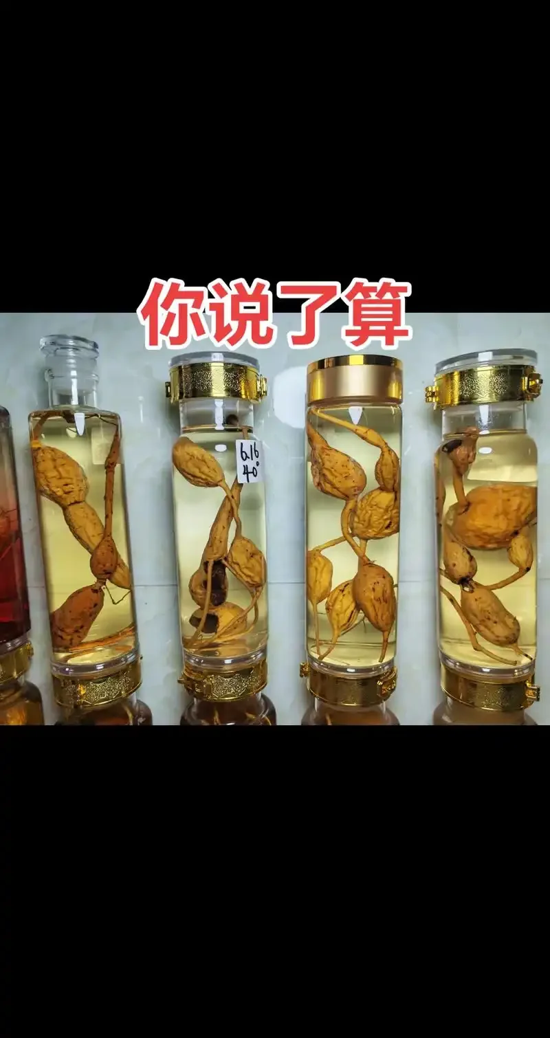 牛古大力药酒泡制过程展示：陶瓷酒坛中琥珀色的酒液与清晰可见的牛古大力根片_1