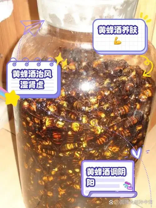 家庭自制蜂子泡酒特写：透明玻璃瓶中，金黄色的酒液浸泡着饱满的蜂蛹_1