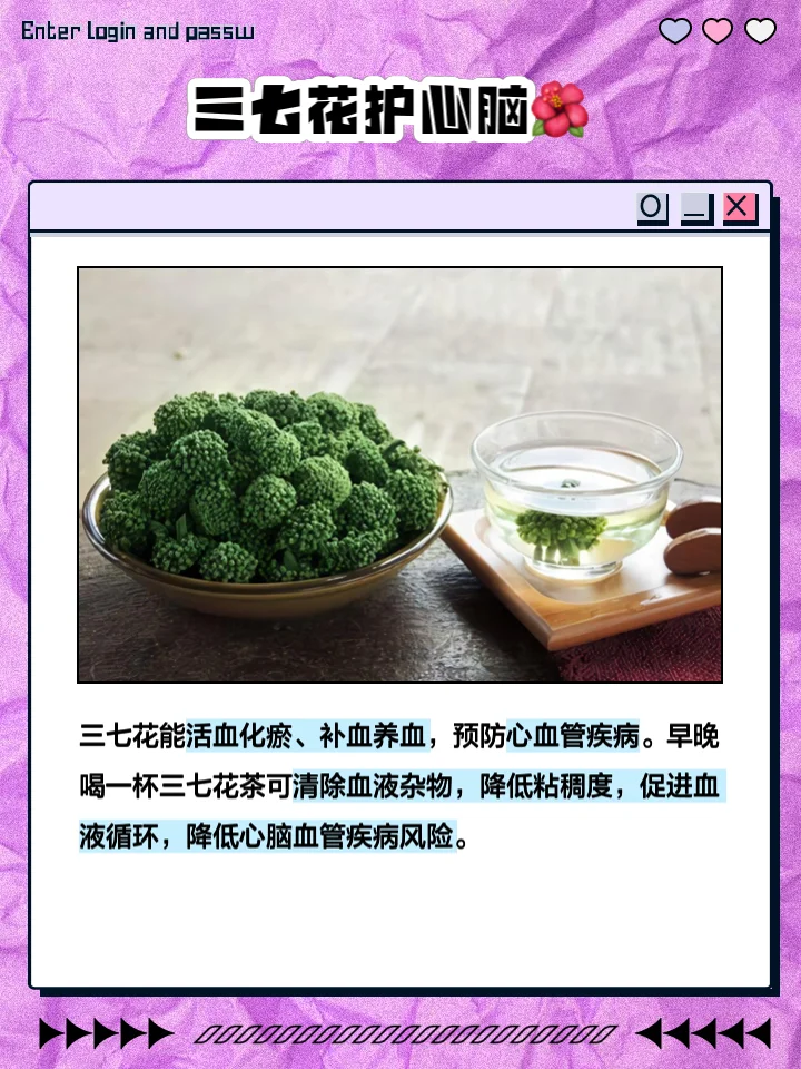 浸泡在玻璃罐中的藤三七根茎酒，酒液呈琥珀色，根茎清晰可见，旁边有新鲜叶片作为点缀。_1