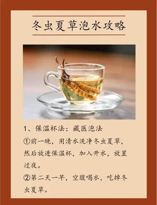 专业酿酒师展示虫草泡酒的正确方法：透明玻璃罐中金黄色的酒液浸泡着冬虫夏草，旁边放置52度纯粮酒瓶和优质虫草原料。_1