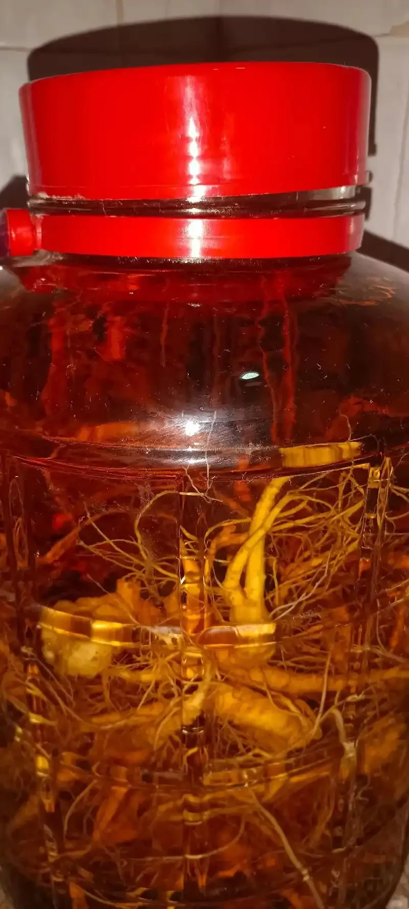 一个装着三七根和桑葚果的透明玻璃泡酒罐，酒液呈琥珀色，旁边放着酿酒笔记。_1