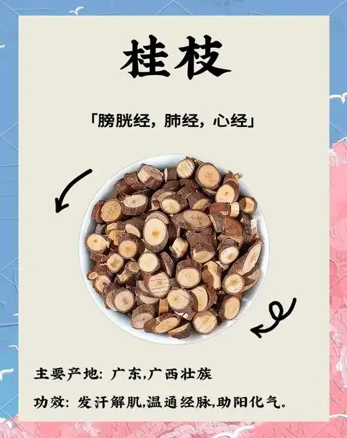 正在浸泡中的家庭自制桂枝药酒，玻璃罐中可见金黄色酒液与桂枝等药材_1