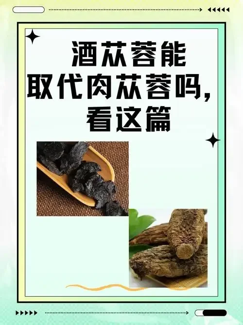 肉苁蓉、海马、枸杞在透明玻璃酒罐中浸泡的实物展示图_1
