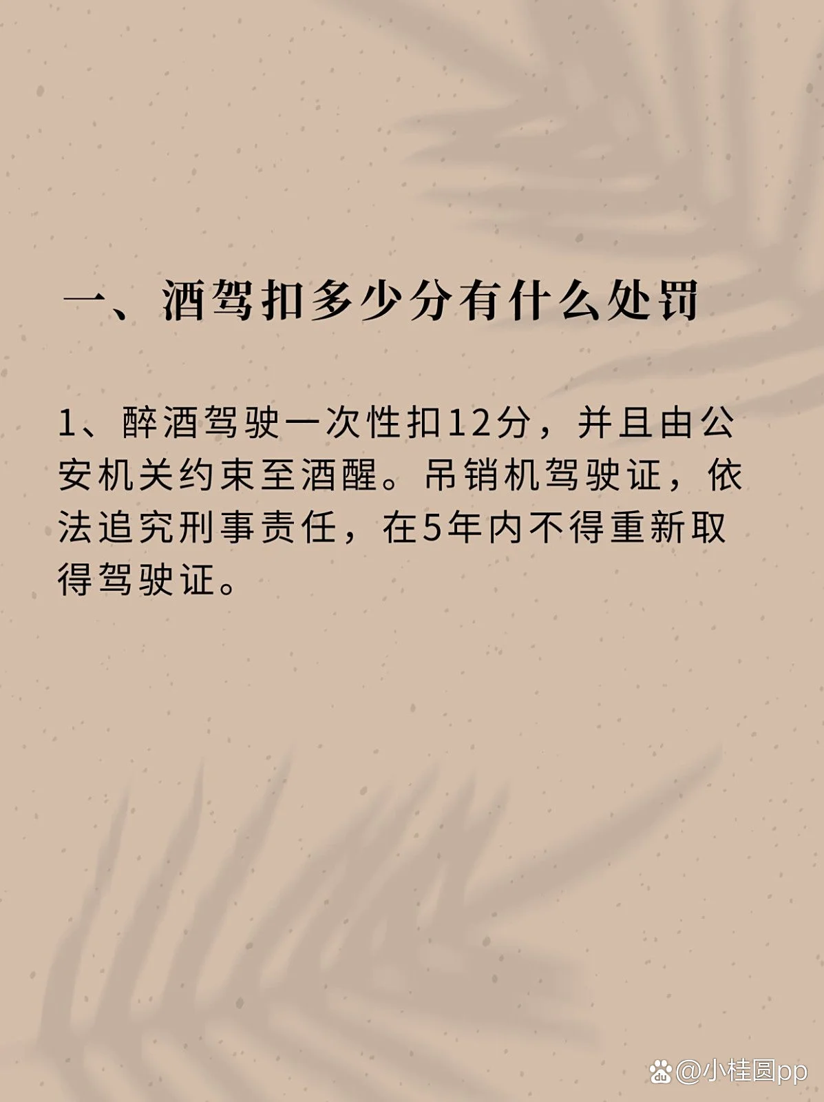 酒驾驾照被扣后继续开车，夜间驾驶的紧张视角与警示灯光的危险氛围_1