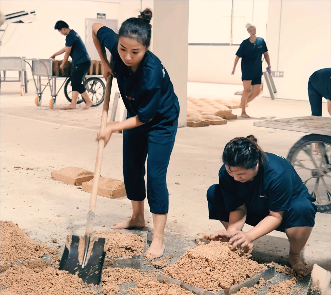 酿酒工程专业毕业生在现代化酒厂车间进行技术操作的场景_1