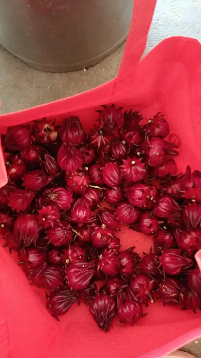 家庭自制红桃K泡酒特写：玻璃罐中宝石红色的酒液与红桃K花萼_1