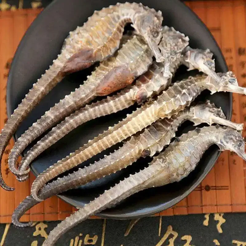 海马泡酒瓶内特写：部分海马漂浮，部分海马沉底，展示不同处理状态下的对比效果_1