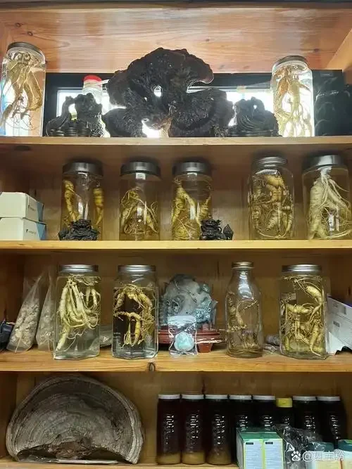 野山参泡酒过程关键步骤展示：广口瓶中浸泡着完整的野山参、枸杞和冰糖，酒体呈琥珀色，旁边摆放着酿酒工具和原料。_1
