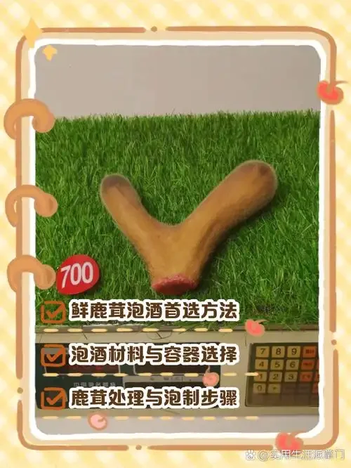 传统鹿茸泡酒配方材料展示：玻璃罐中浸泡着鹿茸片、枸杞、红枣和黄芪的滋补药酒特写_1