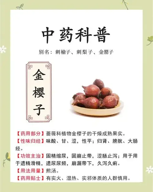 金樱子鹿茸泡酒原料特写：金樱子干果与鹿茸片整齐摆放在工作台，准备用于泡制养生酒_1