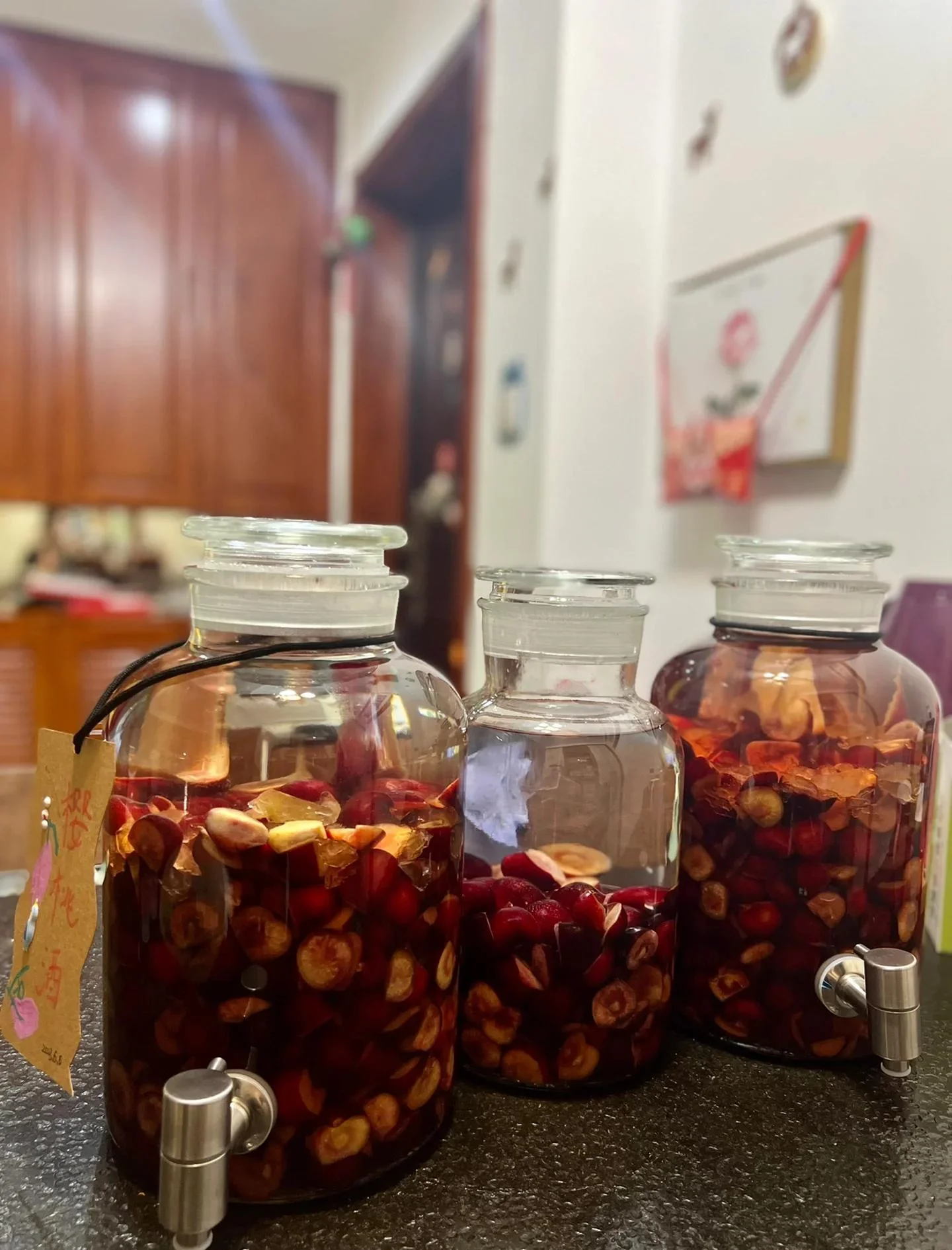 家庭自酿樱桃酒发酵阶段特写：透明玻璃罐中盛满红樱桃、糖和酵母的混合物_1