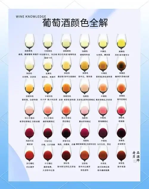 红酒新旧世界等级识别信息图，对比展示法国、意大利、西班牙、美国、澳大利亚等国的葡萄酒分级体系与酒标关键信息_1