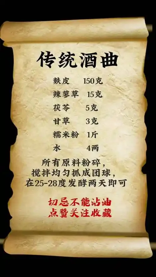 正在培养中的酒曲特写，展示其丰富的微生物菌落和传统制作工具_1