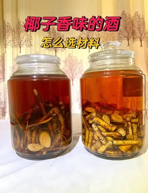 五指毛桃泡酒制作过程展示：玻璃罐中浸泡的五指毛桃根茎、红枣和枸杞_1