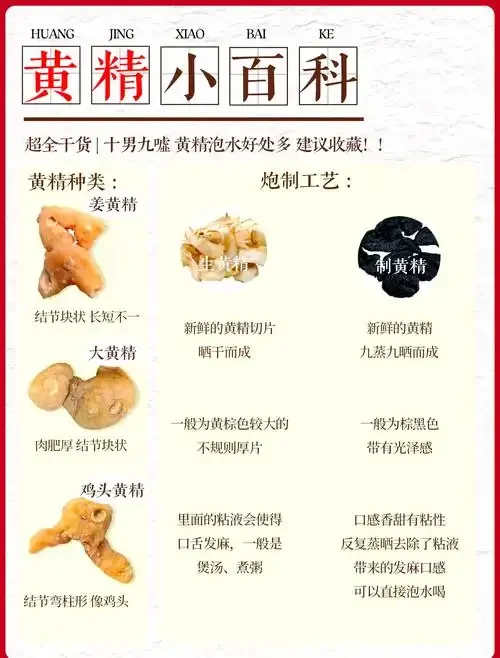 陶瓷杯中的酒黄精泡水，色泽清亮，旁边散落着酒黄精切片，展示正确的饮用方法。_1